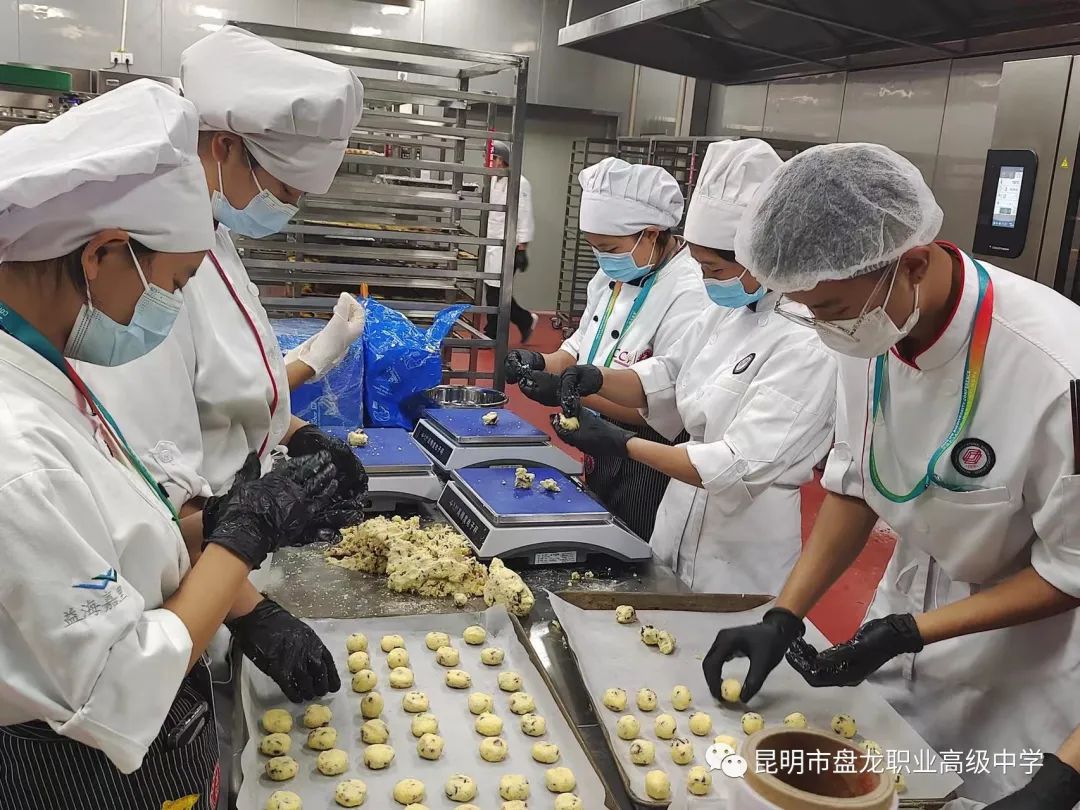 盘龙教育(微信)