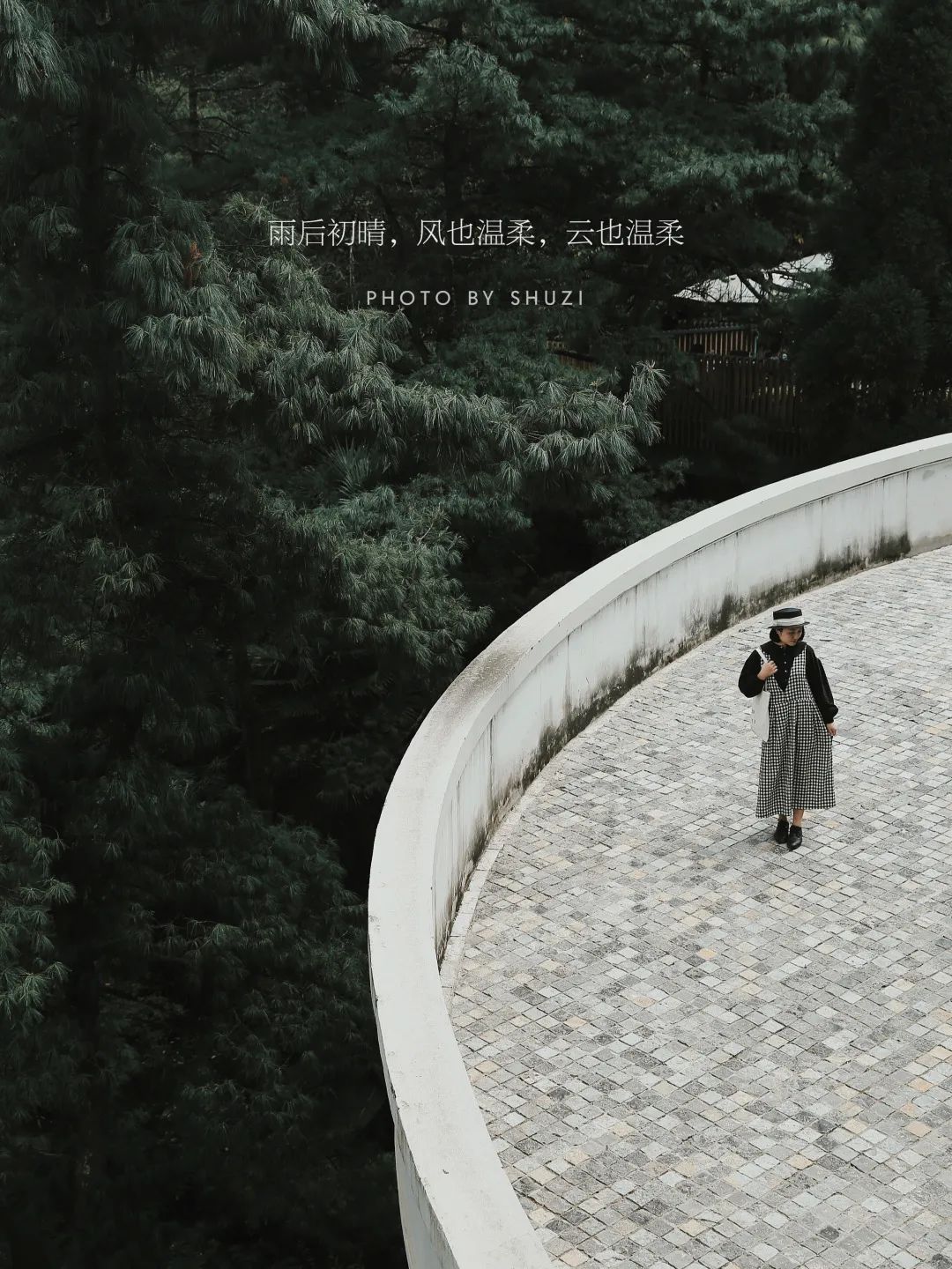 春城晚报(微信)