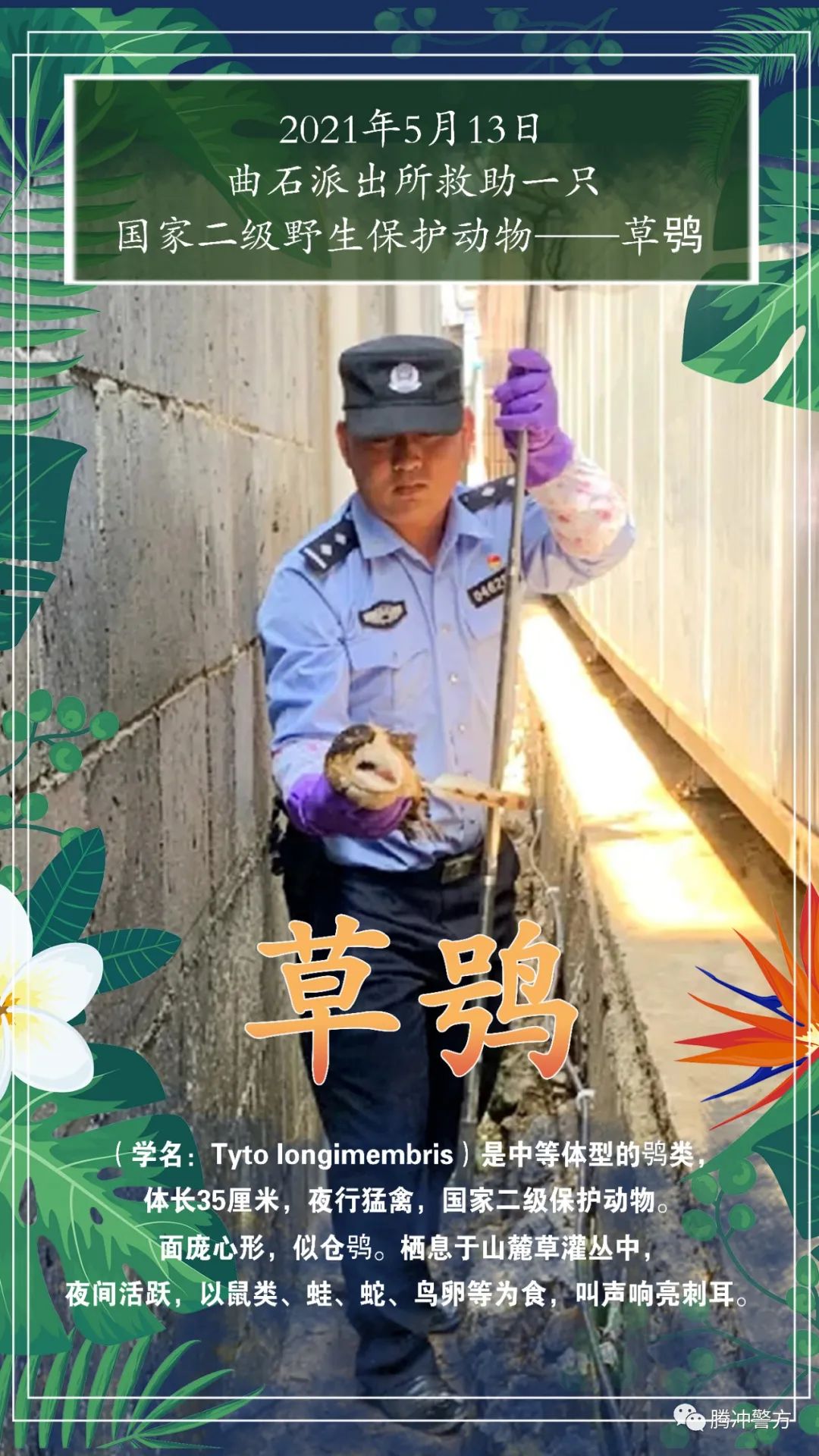 保山新闻网(微信)