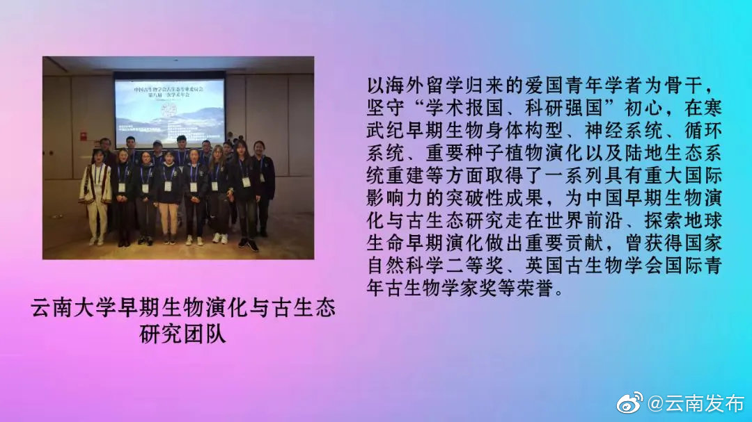 “云南发布”微博