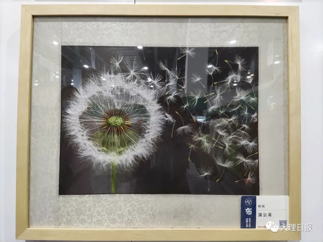 大理日报(微信)