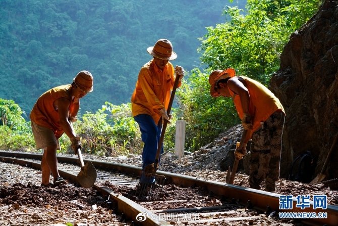 昆明信息港微博