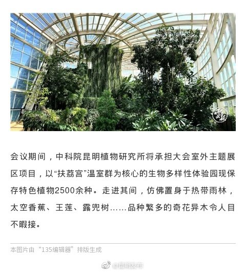 “昆明发布”微博