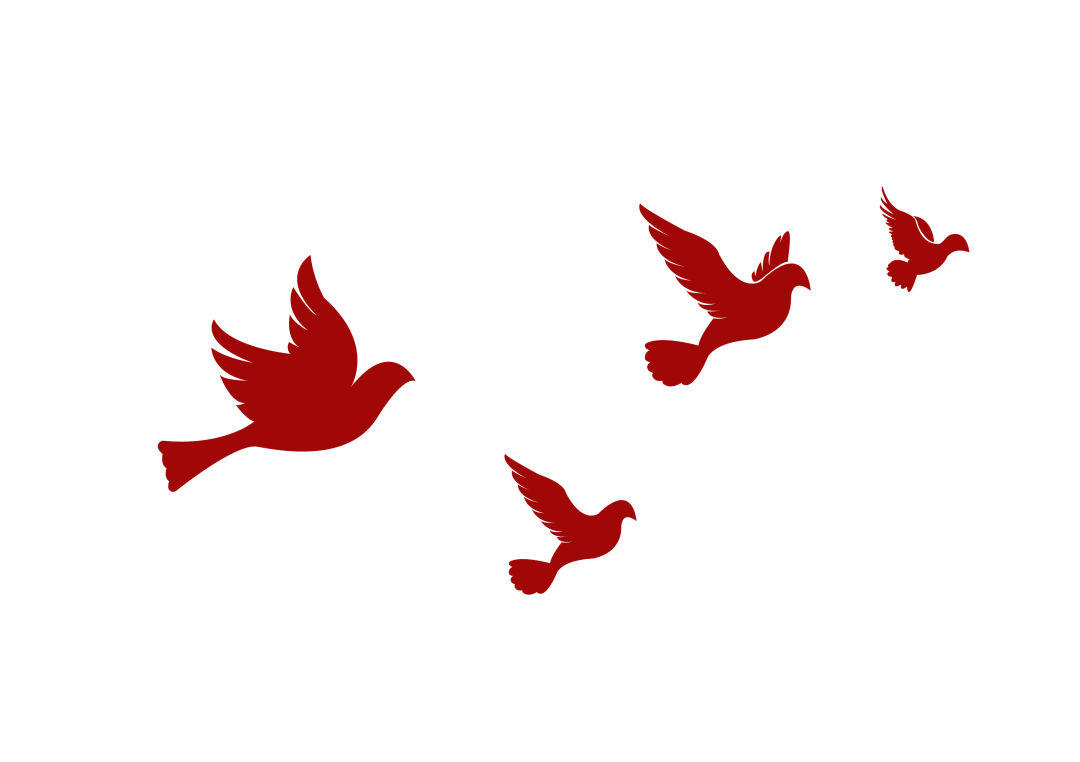 昆明市西山区图书馆(微信)