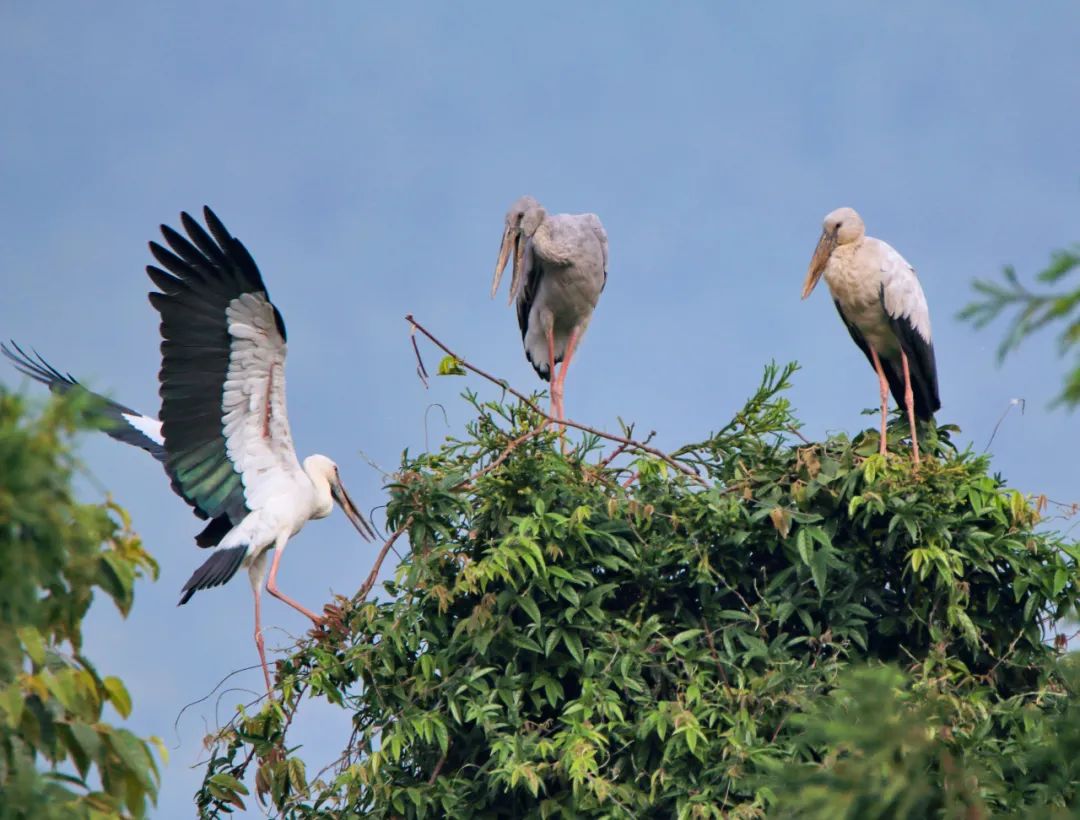 云南广播电视台(微信)