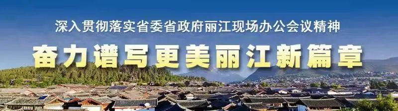丽江新闻
