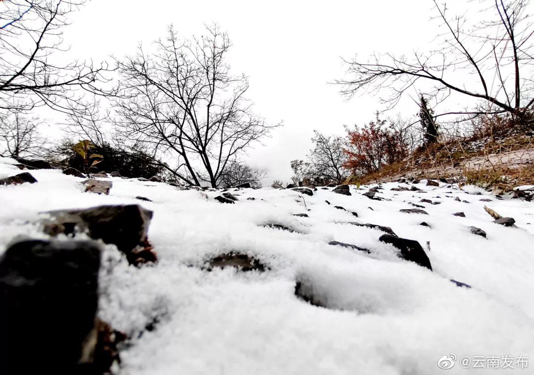 “云南发布”微博