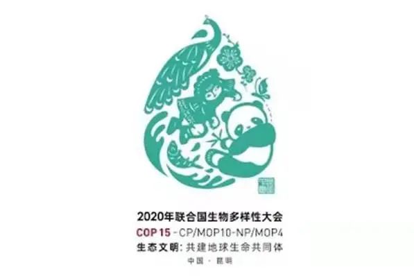 盘龙共青团
