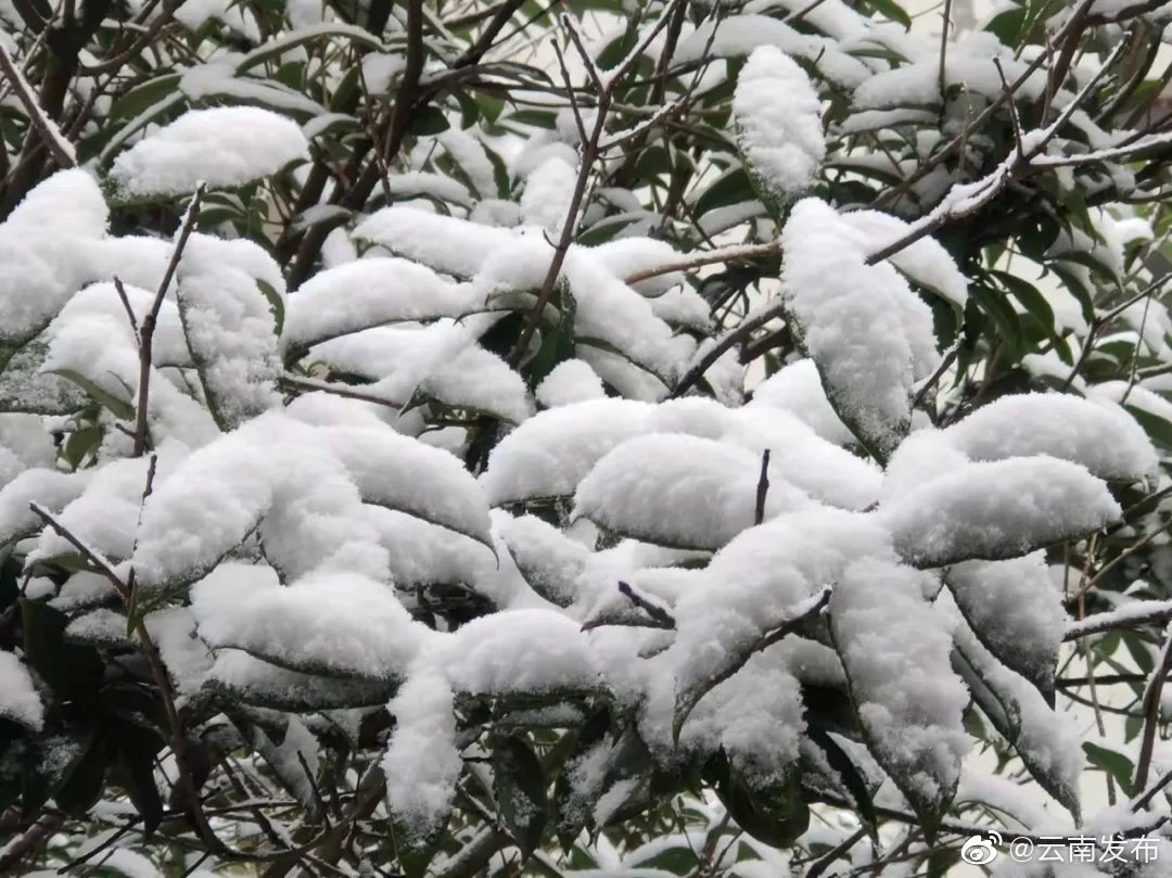 “云南发布”微博