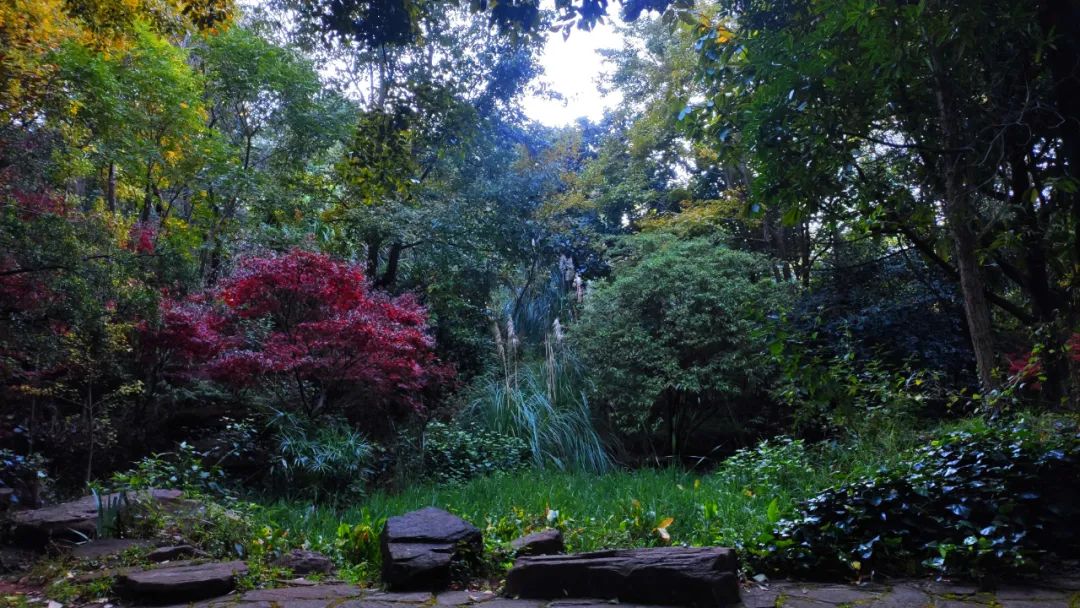 昆明市金殿名胜区