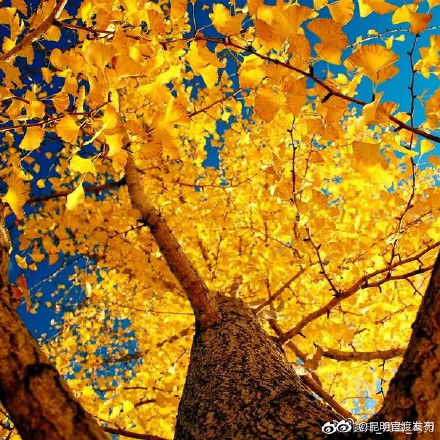 多地延长产假增设育儿假