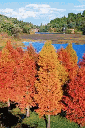 “昆明市西山区发布”微博