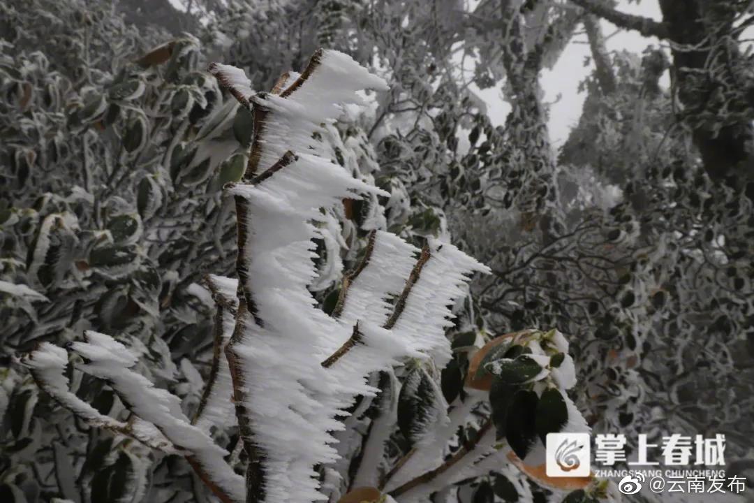 “云南发布”微博