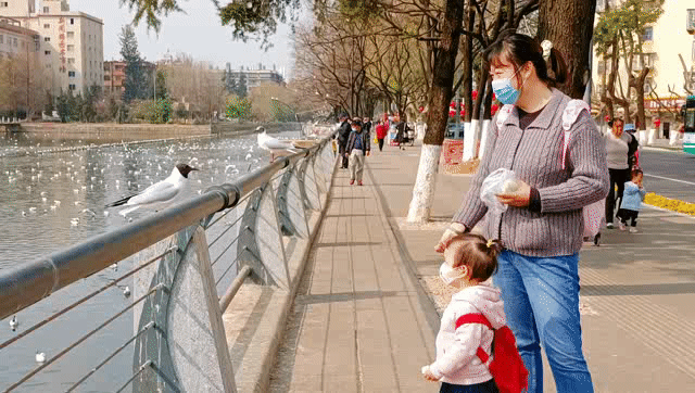 “昆明市西山区发布”微博
