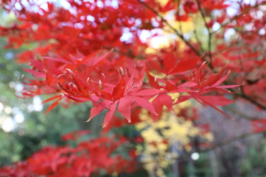 宜良检察(微信)