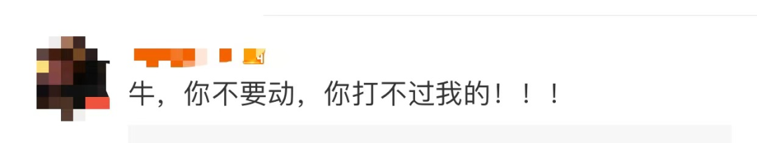 春城晚报