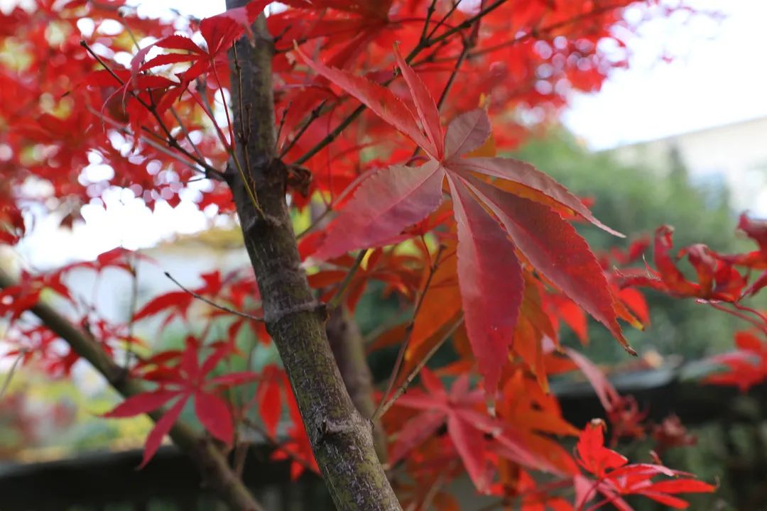 宜良检察(微信)