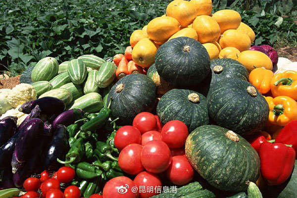 昆明信息港