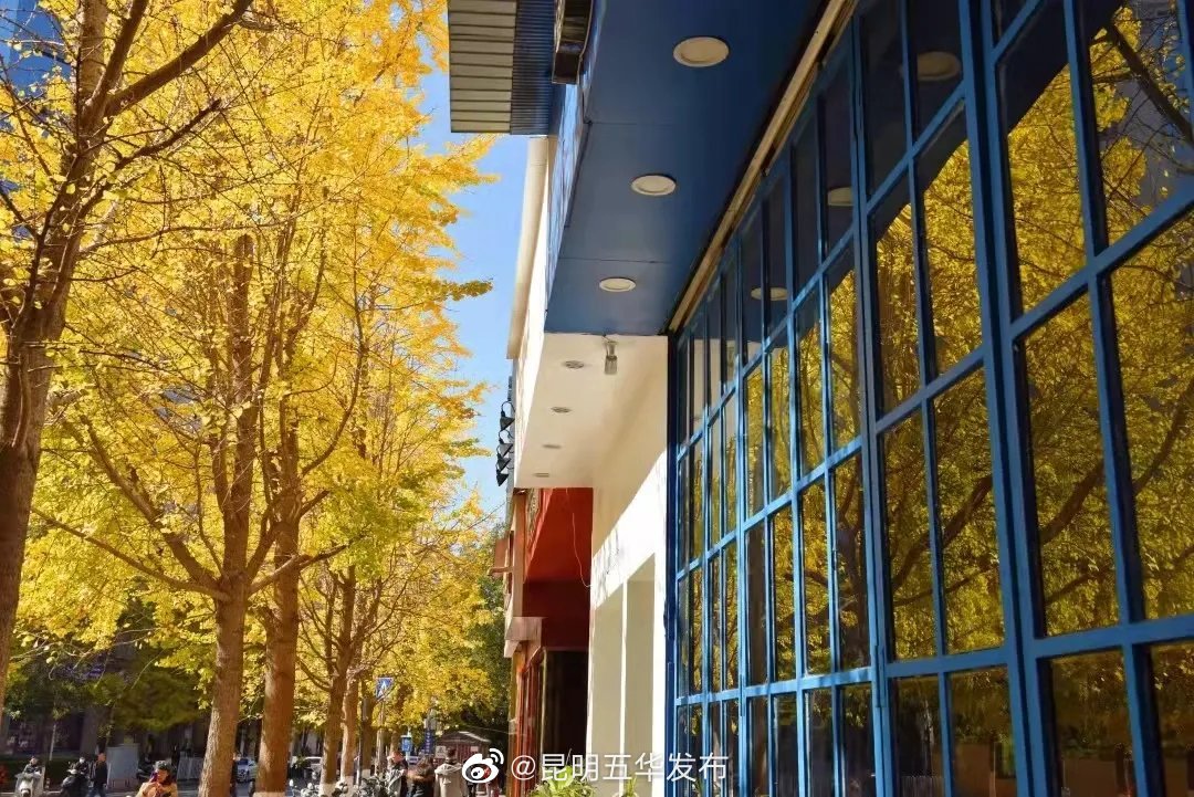 “昆明五华发布”微博