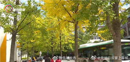昆明发布