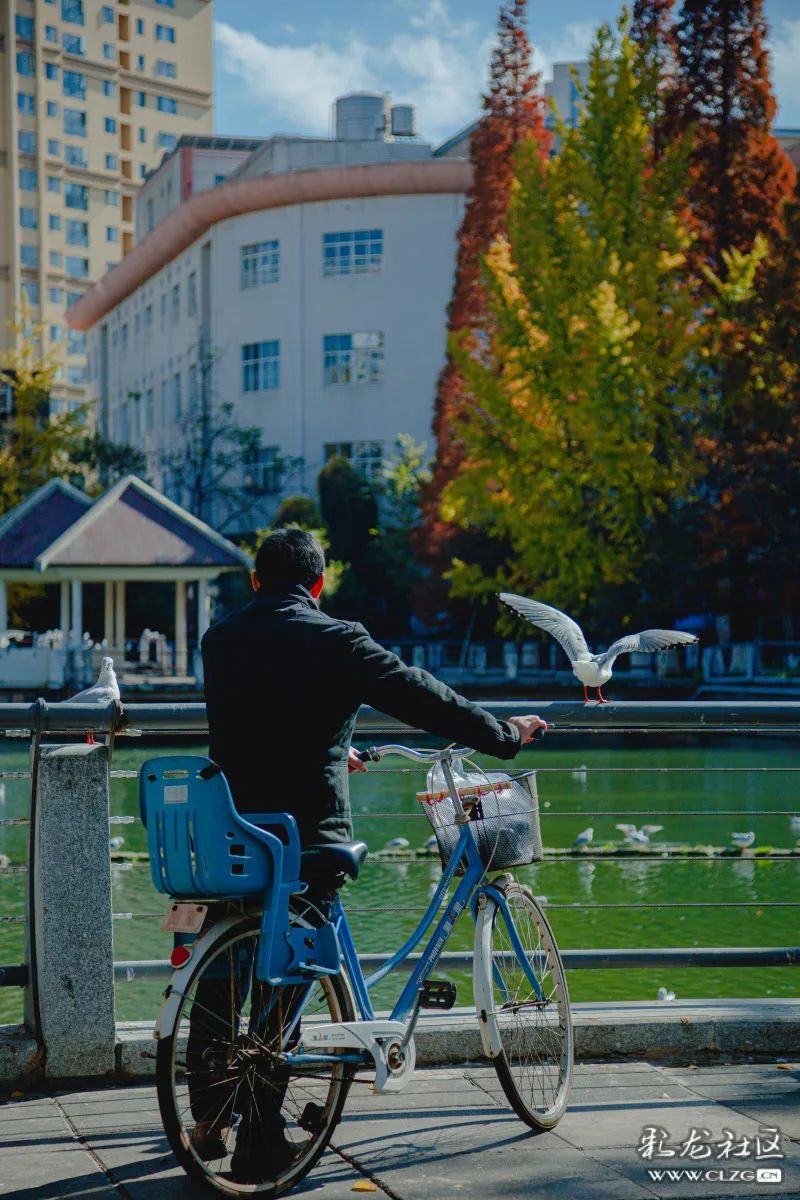 昆明信息港/cnkmxxg