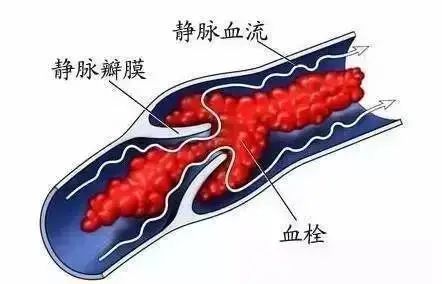 云南省中医医院
