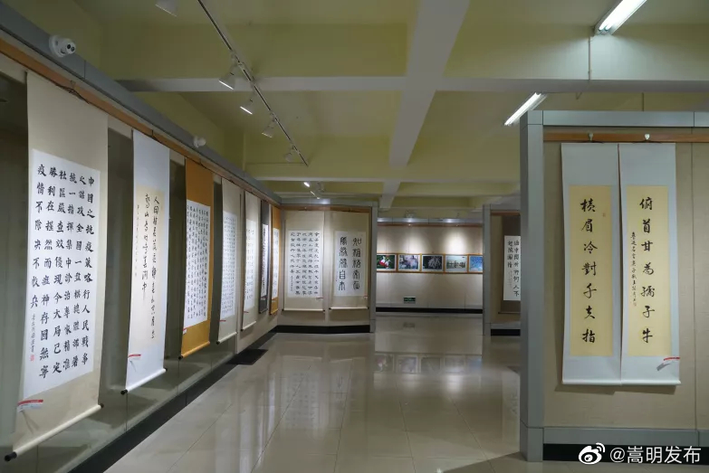 嵩明发布