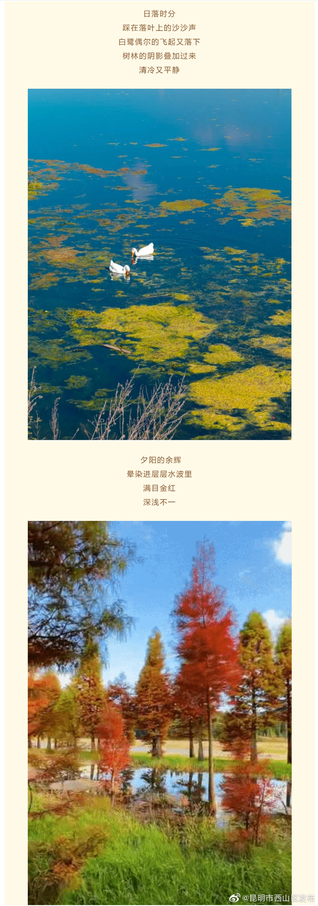 “昆明市西山区发布”微博