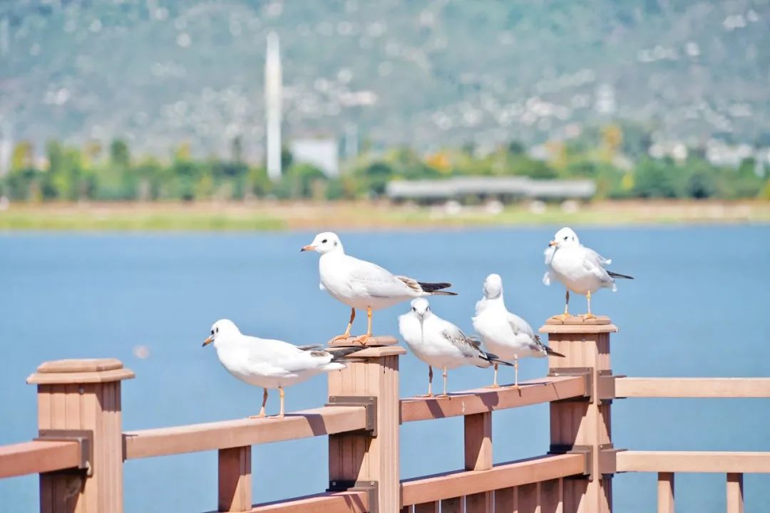 红河文旅
