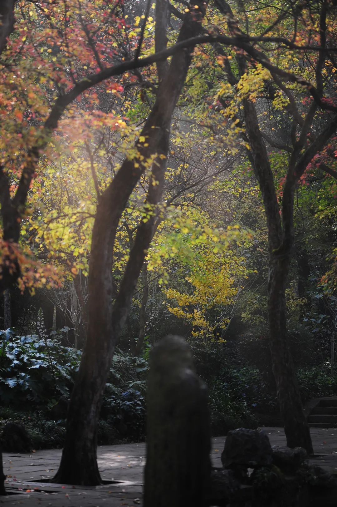 昆明市金殿名胜区