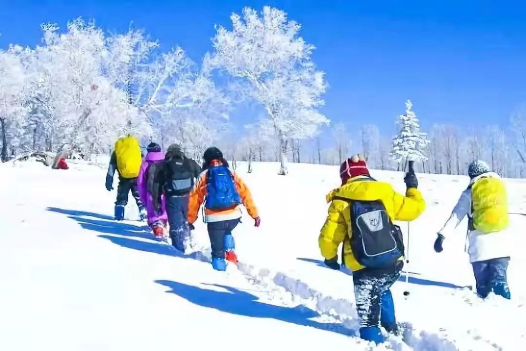 云南野生动物园(微信)