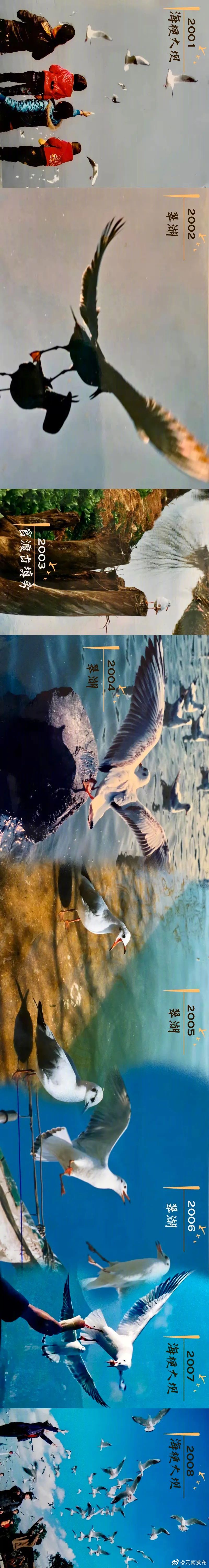 “云南发布”微博