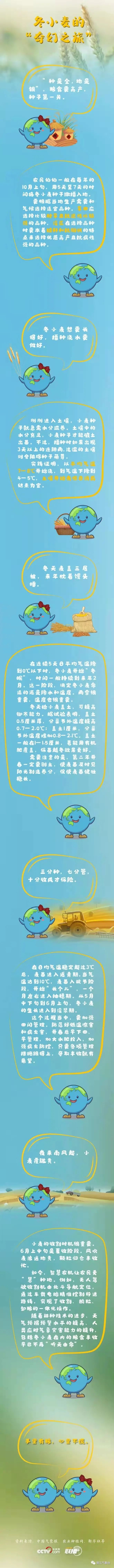 丽江日报(微信)
