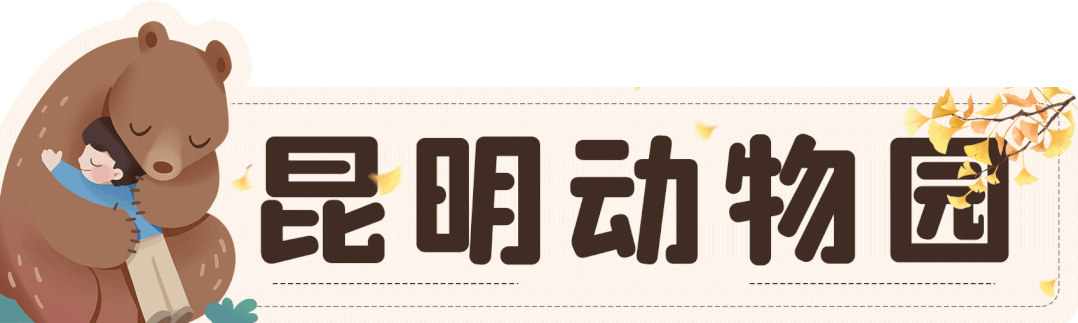 昆明动物园