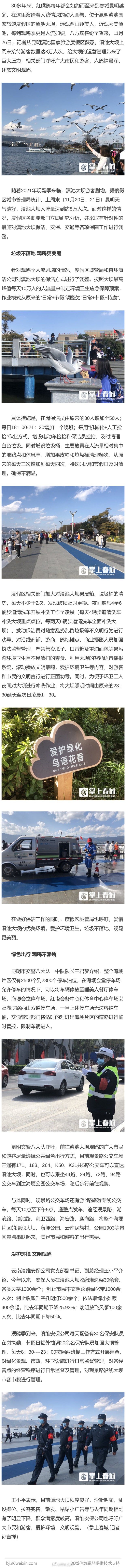 滇池大坝上周末接待游客8万人次 人鸥情深还需文明先行