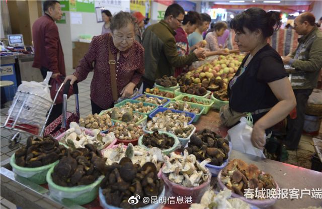 昆明信息港