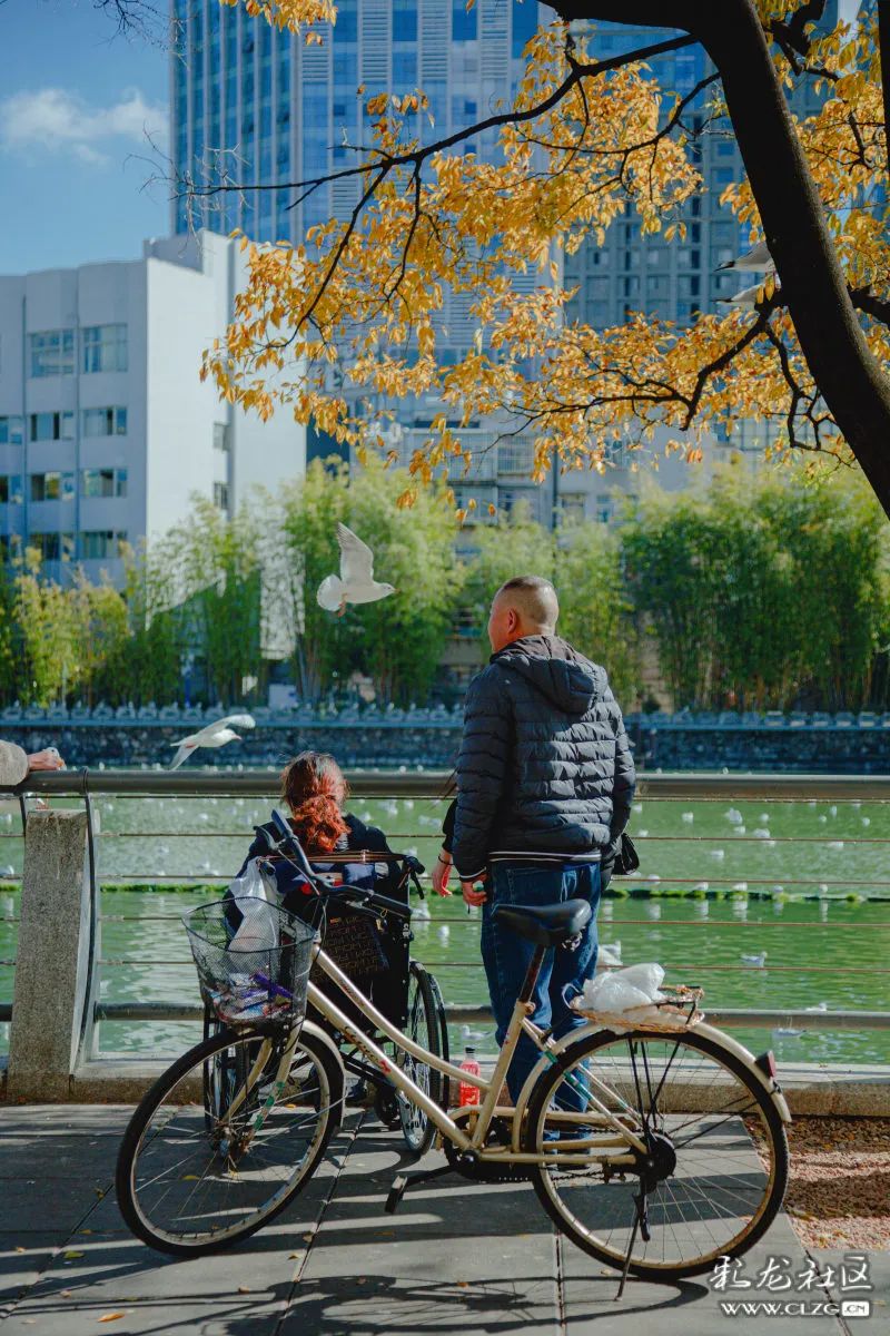 昆明信息港/cnkmxxg