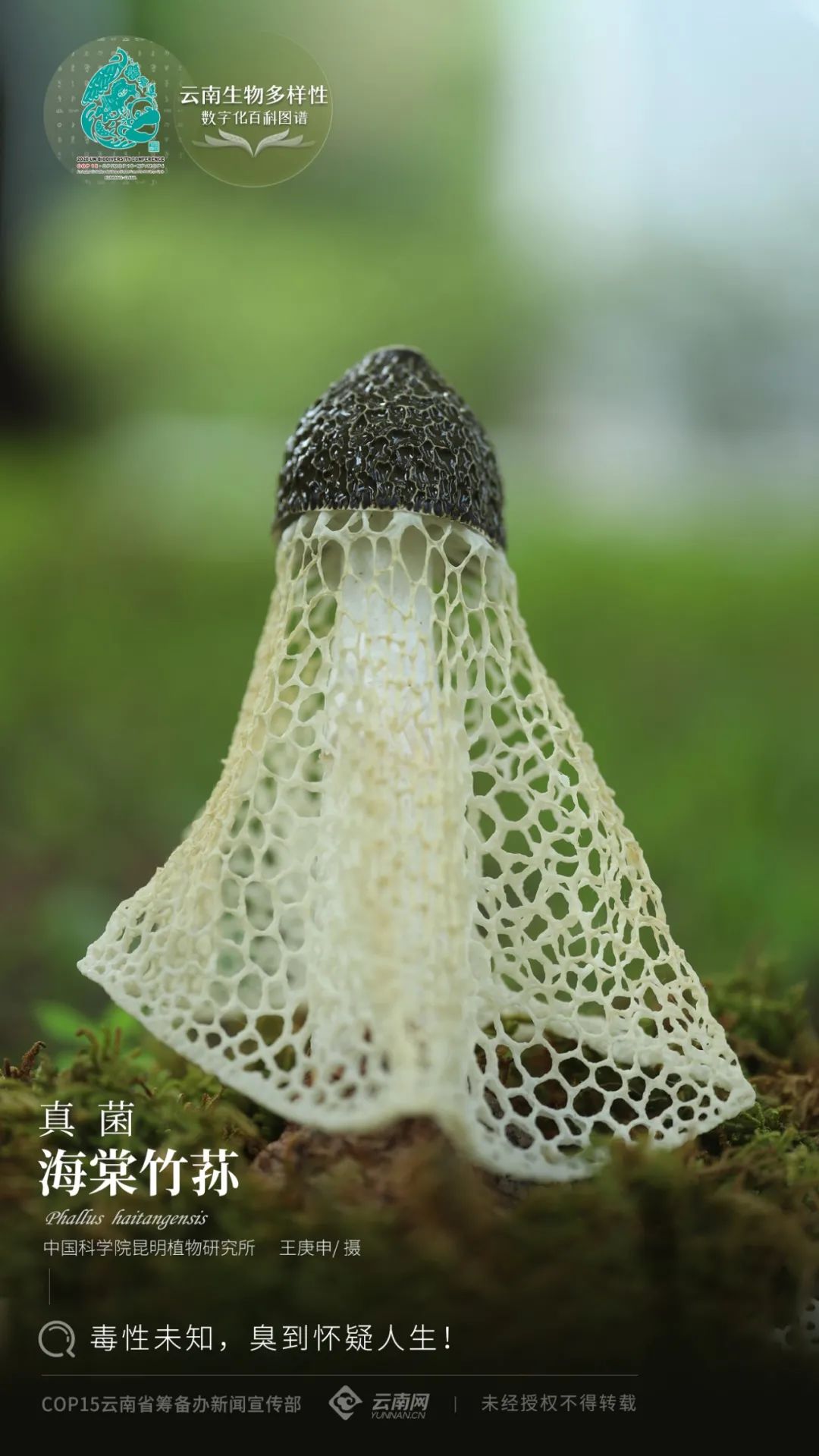 云南省人民政府网