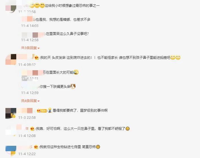 春城晚报