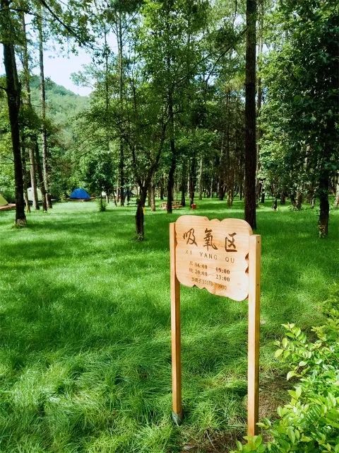红河文旅