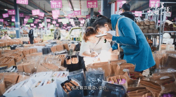 呈贡发布