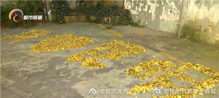 昆明发布