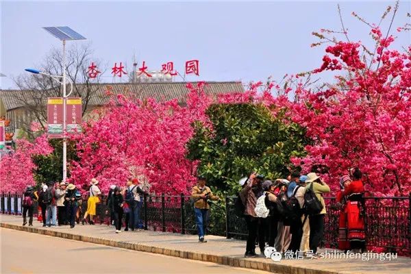 昆明信息港/cnkmxxg