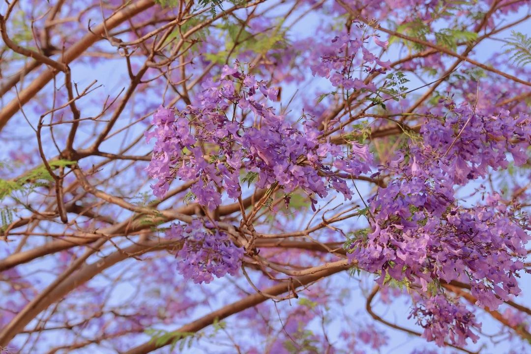 宜良检察(微信)