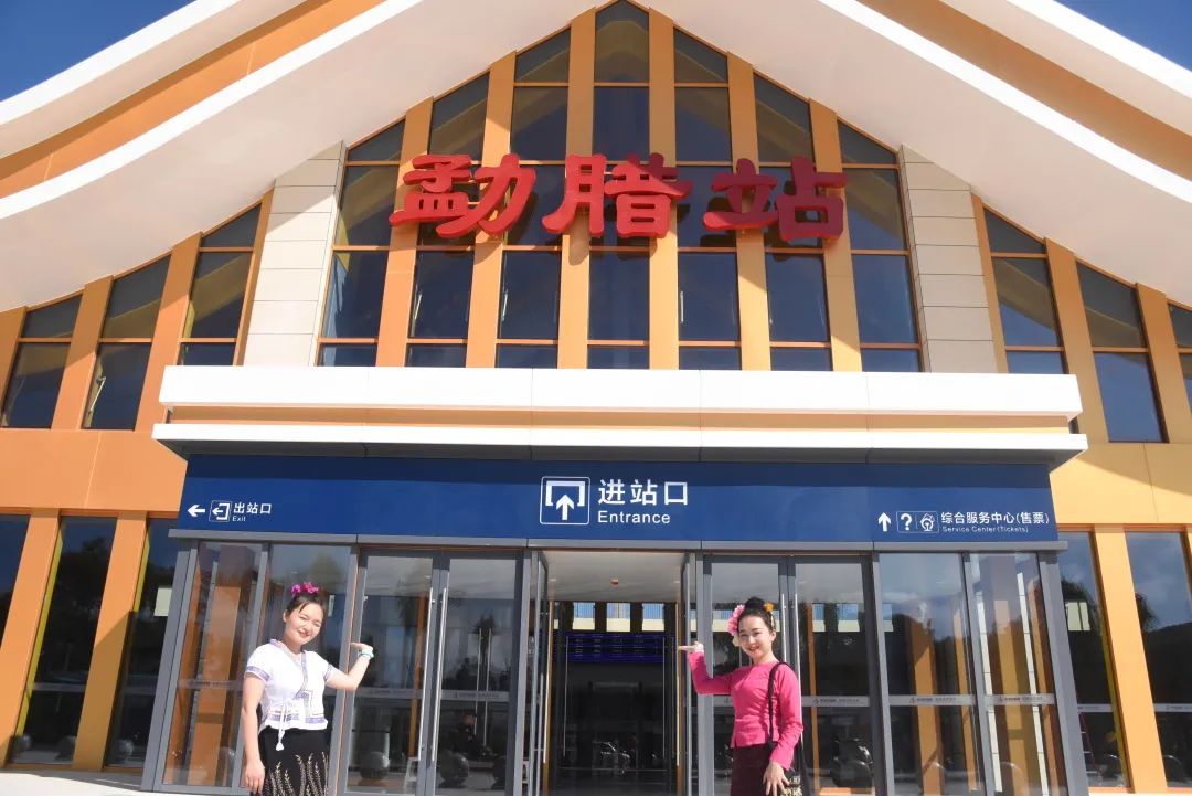 西双版纳望天树景区