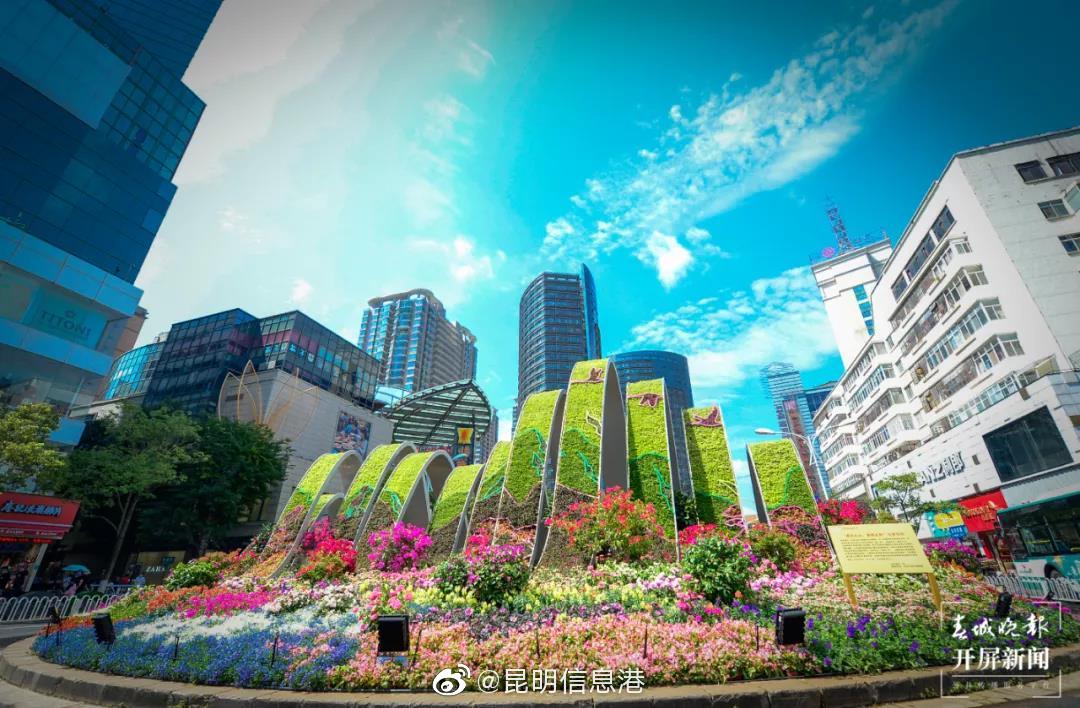 昆明信息港