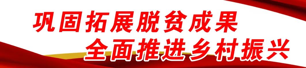 丽江日报