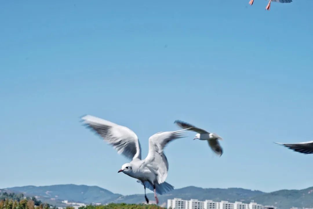 红河文旅