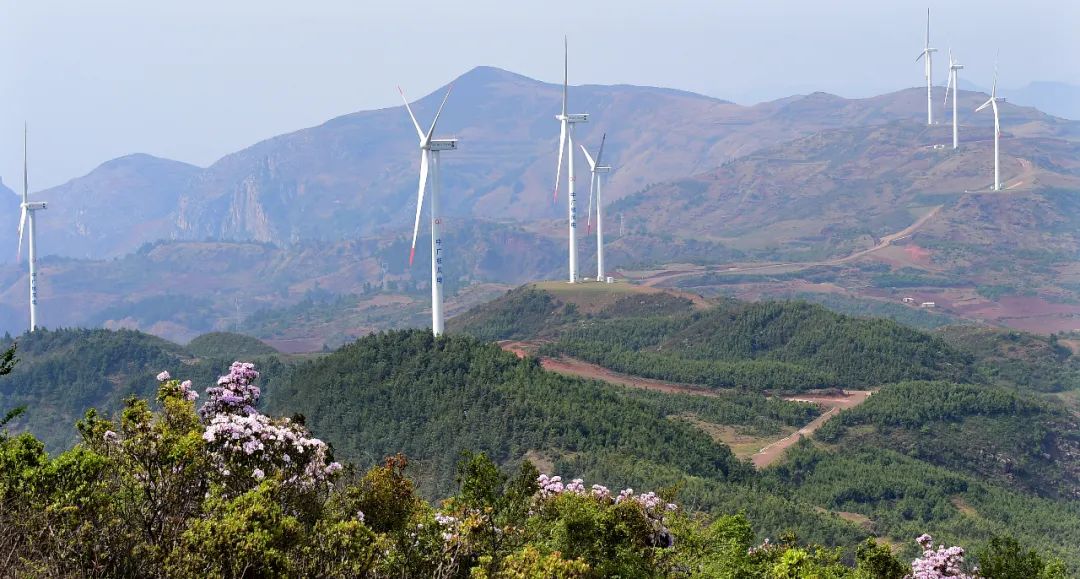 云南省人民政府网