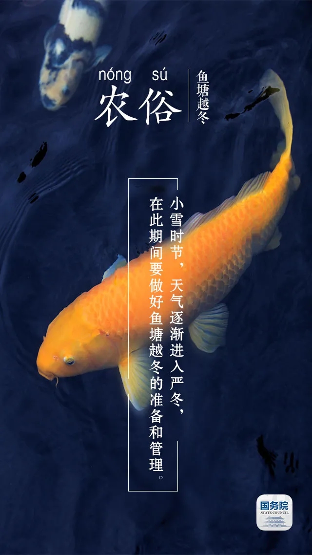 中华人民共和国中央人民政府